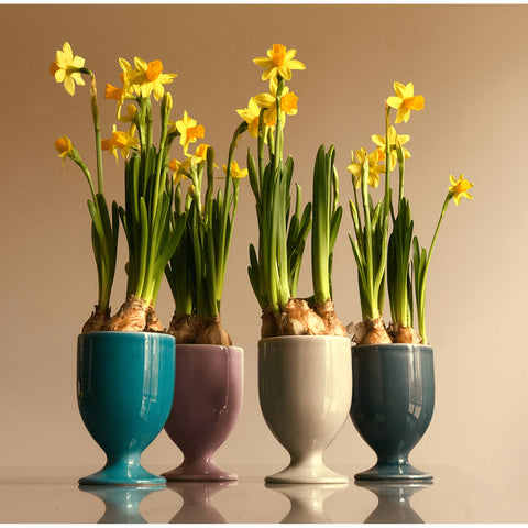 Becher 597 | Dekor 053