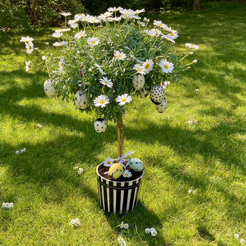 Übertopf Manthey 770B | Dekor 612