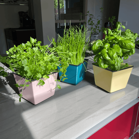 Übertopf HB 757 | Dekor 056